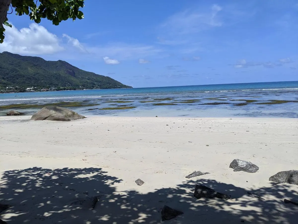 Penzion Hotel The Beach House Beau Vallon