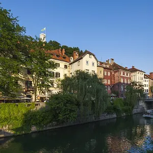 https://adhoc-hostel.hotels-in-ljubljana.com