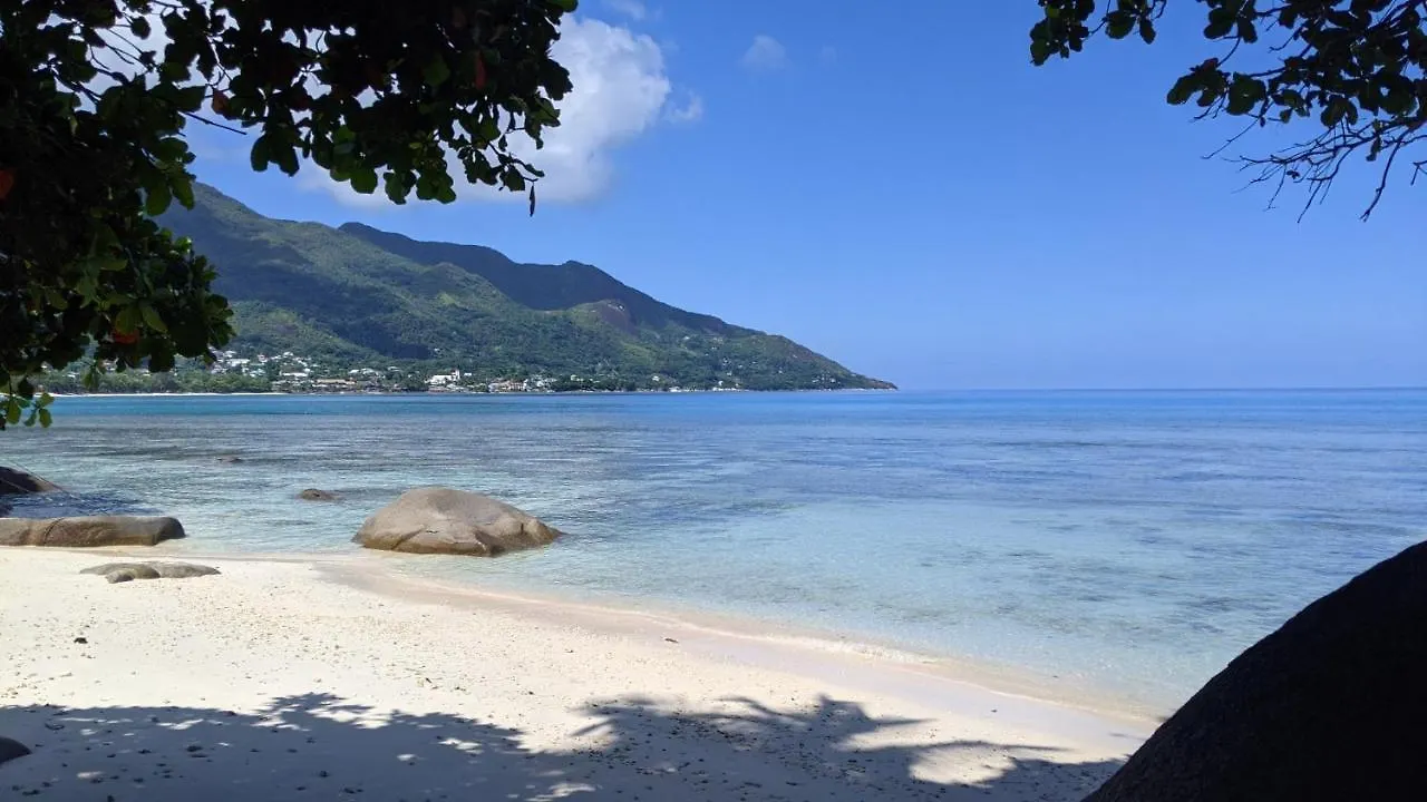 Hotel The Beach House Beau Vallon  Gasthof Beau Vallon (Mahe)
